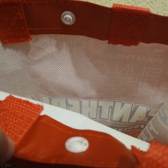 Pantherland FLA TEAM SHOP Reusable Snap Waterproof Bag NWOT - Picture 6 of 8